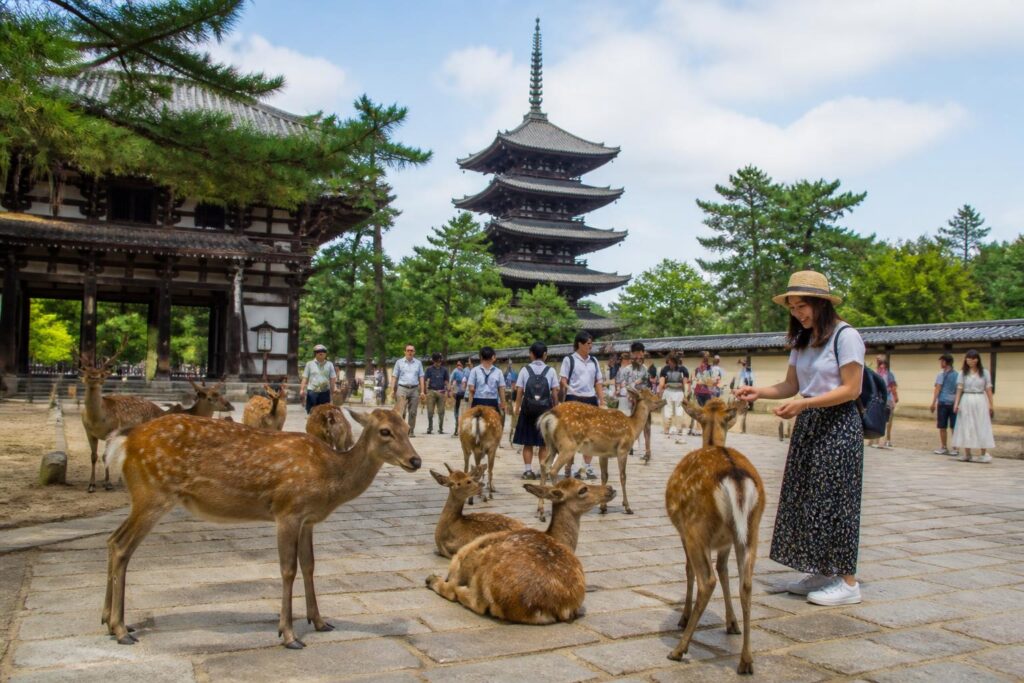 découvrez nara en une journée : explorez la ville japonaise célèbre pour ses daims sacrés, ses temples historiques et ses jardins paisibles.